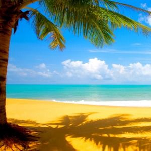 Meet your Posher, Marissa